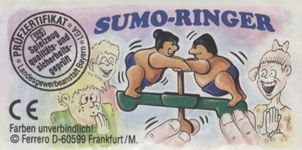 Sumo-Ringer  1994/1995