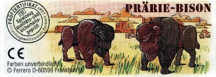 Prrie-Bison  1998/1999